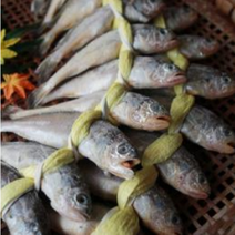 영광 법성포 부세 조기 보리 굴비 가정용 정자각 청담한정식, 20미2.0kg