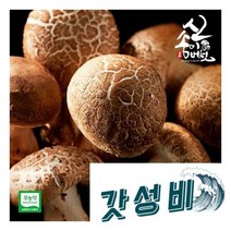송이향 무농약 신송이버섯 1kg 내외1급