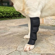 슬개골보호대 강아지 다리 탈구 관절 보조기 반려동물 지지대 통기성 뒷다리 부상 보호대 관리 호크 랩 무릎, 01=Black_S