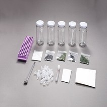 광합성 색소 분리세트(박충 크로마토그래피 세트)