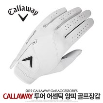 [한국캘러웨이골프] 투어 어센틱 장갑[양피]