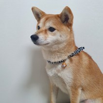 예보들 강아지 고양이 방울목걸이 시바견 강아지인식표 목줄 고양이악세사리, 시바견형, 레드