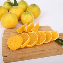제주 서귀포 고당도 명품 황금향 가정용 선물용, 가정용 1.5kg 대과(3-5과 내외)