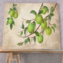 리치 푸른사과그림 액자 과일그림 rw2