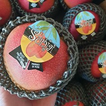 브라질 애플망고 단독 항공수입 프리미엄, 애플망고 [4과 실속형] 1박스