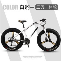 펫자전거 바퀴큰 성인 mtb 팻 바이크, 7단, 24인치, 8. 화이트2