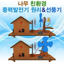 21세기과학상사 나무 친환경 풍력발전기&선풍기