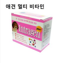 30p 강아지영양제 건강 멀티 애견 애견멀티비타민 인트라젠 종합 8474ma, 본상품선택
