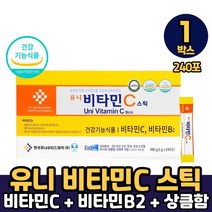 비타민C 분말 스틱 비타시 비타씨 식약처인증 임산부 수유부 건강기능식품 가루 먹는법, 1개, 480g