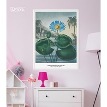 아이엠스톡 인테리어 액자 The Blue Egyptian Water-Lily 식물 014 캔버스액자, 블랙원목