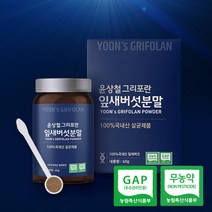 윤상철 무농약 잎새버섯 함량 100% 분말 가루 천연조미료 베타글루칸, 1개(사은품없음), 60g