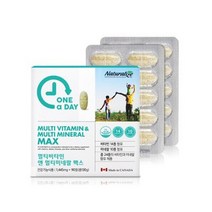 네추럴라이즈 - 원어데이 멀티비타민 앤 멀티미네랄 맥스 130g (1445mg*90정) 식약처인정