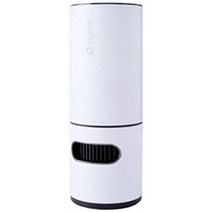 광촉매 살균탈취공기청정기, 백대하