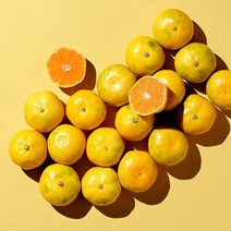 제주도하우스귤 금귤 하우스귤 2.5kg 5kg, 로얄대과 2.5KG