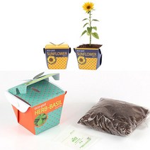 홈가드닝 해바라기씨앗 화분 흙 세트 식물키우기 실내식물 상자텃밭 화분만들기 종이화분 ★jun☆a, ※­선택:상품선택▣