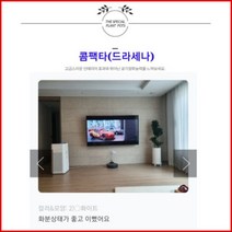 없음 [반값화분] MAIN-대형콤팩타130(드라세나) 직접배송 축하화분 개업화분 거실화분 카페화분 인테리어화분 아레카야자 극락조 알로카시아 파키라 고무나무, 사각그레이