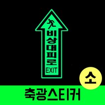 화살표 바닥용 비상 반사 스티커 안전용품 야광 표시 축광 시트 위치알림 소, D타입녹색
