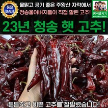 23년 청송 햇 보통맛 건고추 3kg