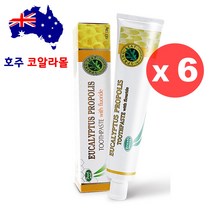 호주직구 프로폴리스 치약 120g 6개 스프링리프 호주코알라몰