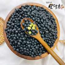 힘찬농부오달봉 2022년 햇 국산 약콩 청약콩 쥐눈이콩 청서목태, 1개, 500g