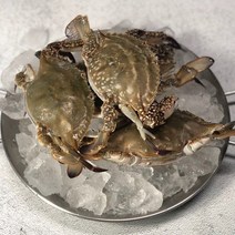 [포항수산]국내산 선동 꽃게 2kg 6-12미, 1개