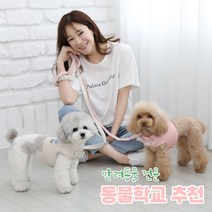 리토가토 러비 커스텀 캐릭터 강아지 하네스 + 리드줄 세트 핑크 (컴퓨터 자수) 동물학교 추천, 민트