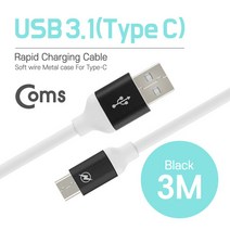 C타입 고속충전케이블 LG V20 V30 G6 G7 갤럭시노트8 갤럭시s8 갤럭시S9 고속충전잭 3m, 실버 3m