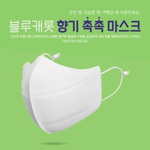 블루캐롯 향기촉촉기능성가습마스크 미세먼지황사 방진마스크 4매입, 화이트