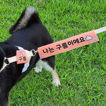 댕냥라이프 대형견 중형견 강아지 리드줄 산책 네임택 반려견 인식표 (주문제작), 코랄
