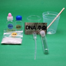 세포핵실험 DNA추출 관찰과학 10인키트 교육완구 기능