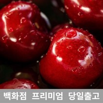 [특등급선별] 체리 4.5kg 바이오체리 생체리 레이니어체리 체리가격 체리종류 국산체리 체리농장 칠레산체리 워싱턴체리 국내산체리 미국체리 캘리포니아체리 미국산체리 항공체리 체리박스