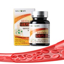 낫토키나제 혈행개선 낫토키나제 약2개월 영양제, 나토키나제 1병