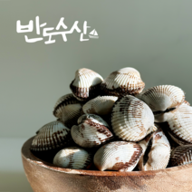 반도수산 벌교 새꼬막 [특상품] 당일채취 산지직송 3kg 5kg 10kg, 1개