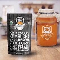 유기농 유산균 저당 콤부차 만들기 다이어트 효능 120oz, 1봉, 1봉, 425g