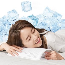 이글루 냉장고 베개 10종 쿨링베개 쿨베개 아이스베개 시원한베개