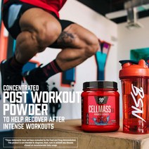 BSN 2.0 회복 BCAA 크레아틴 글루타민 케토 블루 라즈 25회분 헬스 보충제 부스터