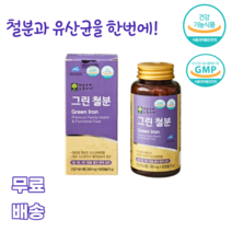 그린철분90캡슐 유산균에서 추출 유기농과일채소 혼합분말 당근 파슬리 비트 진피 아세로라 케일 미강유 가임기 여성 임산부 수유기 어린이 청소년 성인 영양부족 불규칙한 식생활 식습관, 1통, 90캡슐