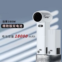 무선드라이기 수영장 거치식 USB 부품 대용량 냉온풍 강아지 차량용, 클래식(표준배터리+보조배터리) 18000mAh