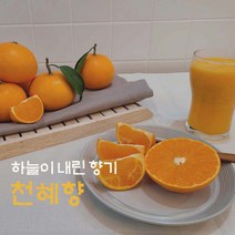 제주 산지직송 제철 고당도 천혜향 선물용 3kg 5kg, 부직포가방, 중과3kg(12-18과)