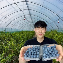 칠레 생 블루베리 생과 미국산 국산 500g +500g 1kg