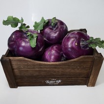 [야채마루] 국내산 콜라비 5kg 10kg 신선함 고당도 빠른배송, 1box, 3kg