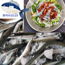 자연산 학꽁치회 당일조업 당일손질 당일출발 선도선별 최상급 고급회, 손질후 500g+500g (1kg)내외 초장포함