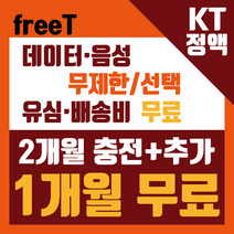 로켓로밍, 90일, 매달 300MB(이후 3Mbps)