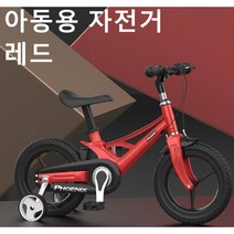 Dream패션 어린이 네발 자전거 아동용 자전거 SYKB100, 14인치, 레드