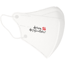 [라로] 신정 새해선물 신년인사 마스크 2D새부리형 30매 성탄절 / 인쇄마스크 / 대형/중형, Design_3, 대형