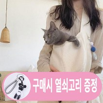 강아지 슬링백 고양이 애견 포대기 가방 이동가방 반려동물 산책가방, M