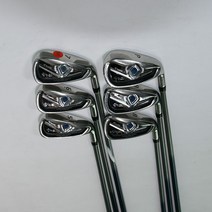 브리지스톤 TOURSTAGE ViQ 6S 골프 아이언세트 골프채, 단품