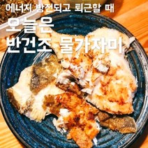 반건조 물가자미 10마리, 10미