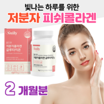 콜라겐 피쉬 글루타치온 올인원 초저분자 피쉬 콜라겐 글루타치온 효모 300 달톤 히알루론산 엘라스틴 밀크세라마이드 L 시스틴 홈쇼핑 프리미엄 영양제 성분 효능 가격 비교, 2박스, 500mg x 60정 (하루 2정)