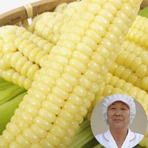 톡톡터지는 최상품 특A괴산대학찰옥수수/생물 냉동2가지, 생물 대학찰옥수수15개
